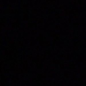 Meet your Posher, Riley